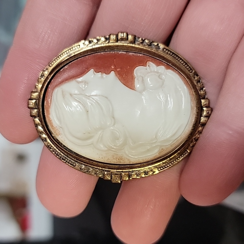Celluloid Cameo Antique Pin